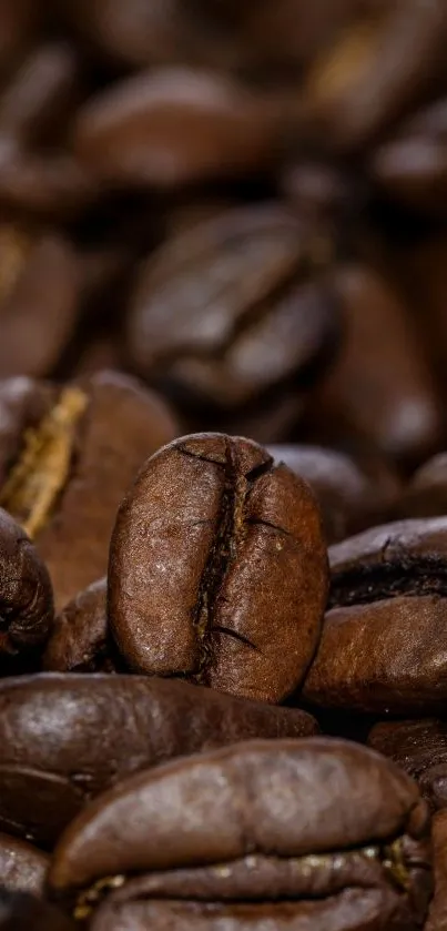 Close-up of roasted coffee beans wallpaper.