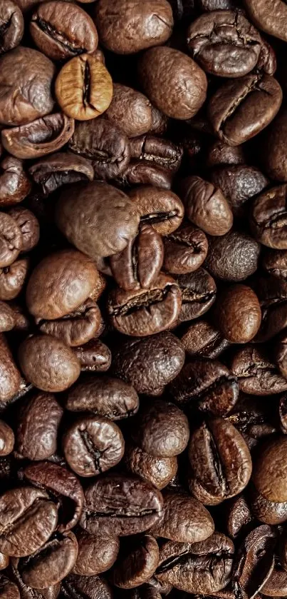 Close-up of brown coffee beans for a mobile wallpaper.