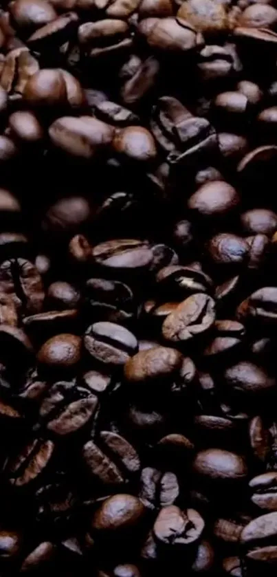 Close-up of roasted coffee beans with rich dark tones.