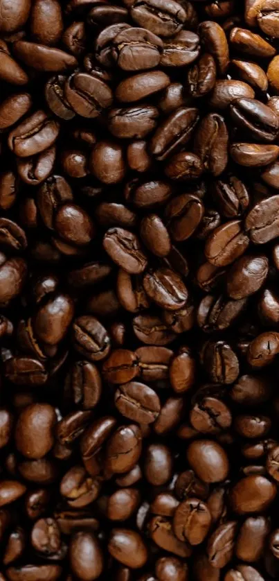 Close-up of brown coffee beans filling the screen, perfect for a mobile wallpaper.