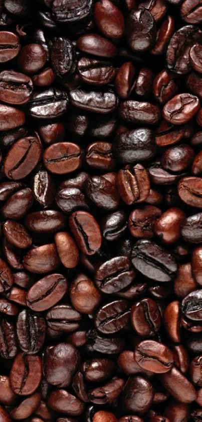 Dark brown roasted coffee beans wallpaper, rich in texture.