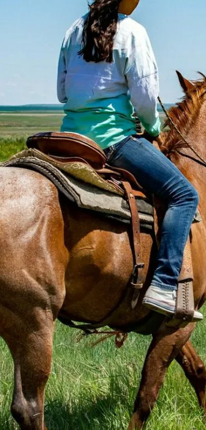 Horseback rider on lush green field under blue sky, serene mobile wallpaper.