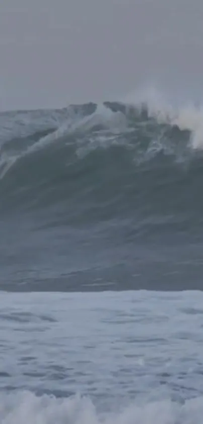 Surfer riding a large ocean wave against a grayish-blue seascape.