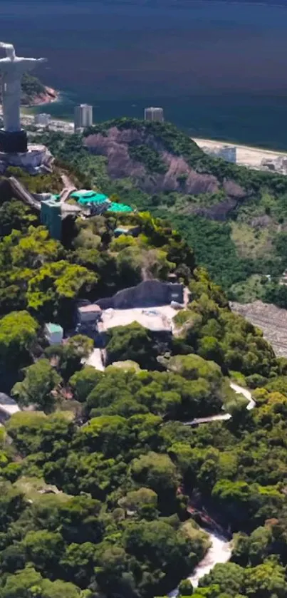 Aerial view of lush green Rio landscape