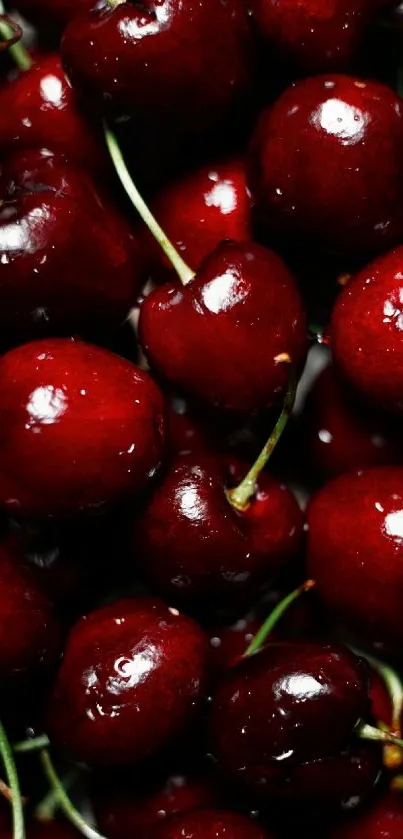 Vibrant close-up of ripe red cherries for mobile wallpaper.