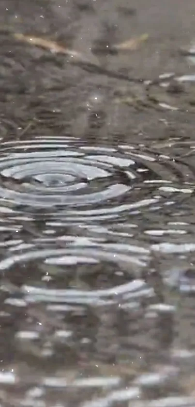 Rippling water with raindrops creating mesmerizing patterns.