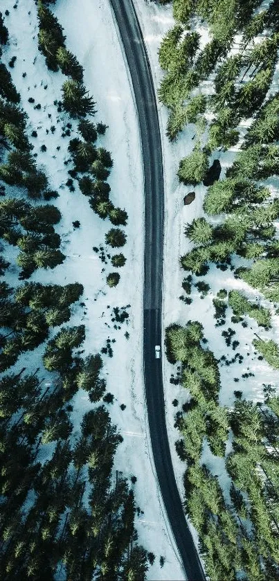 Aerial view of a road winding through a snowy pine forest.