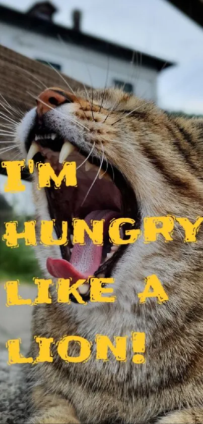 Yawning cat with text saying 'I'm hungry, like a lion!'