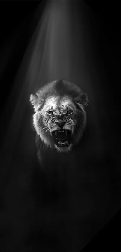 A fierce lion roars amidst mystical fog on a dark background.