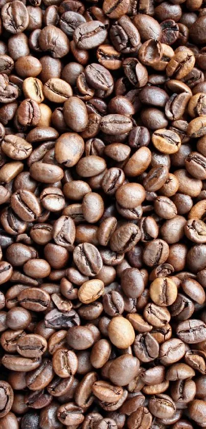 Vibrant roasted coffee beans wallpaper.