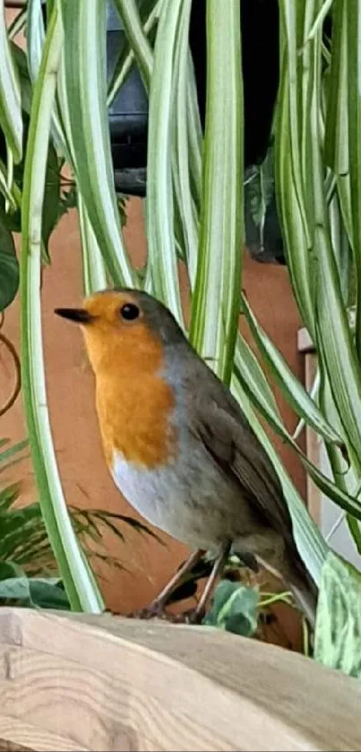 A robin is perched amidst lush green plants indoors.