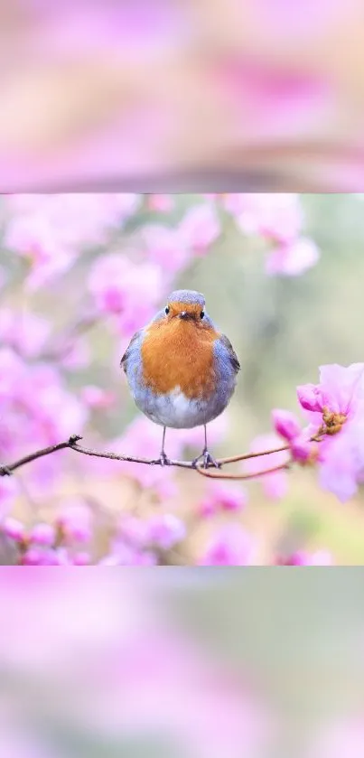 A robin perched on a branch with pink blossoms in the background.