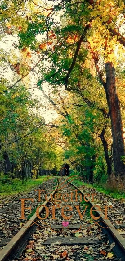 Romantic railway path through autumn forest.