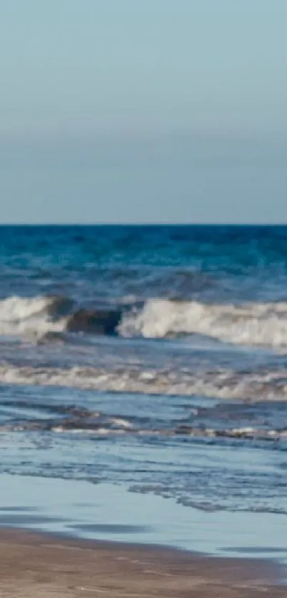Romantic couple walking on a beach under a clear blue sky.