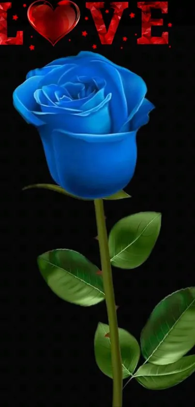 A vibrant blue rose with love text on a black background.