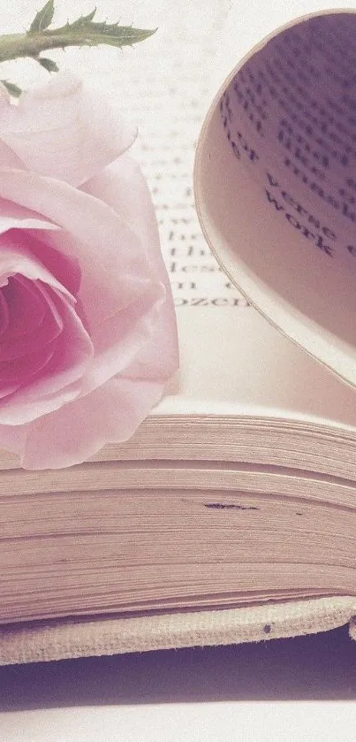 Pink rose on open book romantic wallpaper.