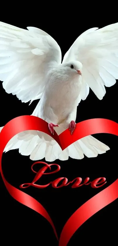 White dove with red heart on black background mobile wallpaper.