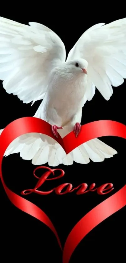 White dove with red heart on black background wallpaper.