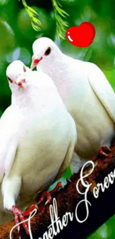 Two white doves perched on a branch with green leaves and a red heart.