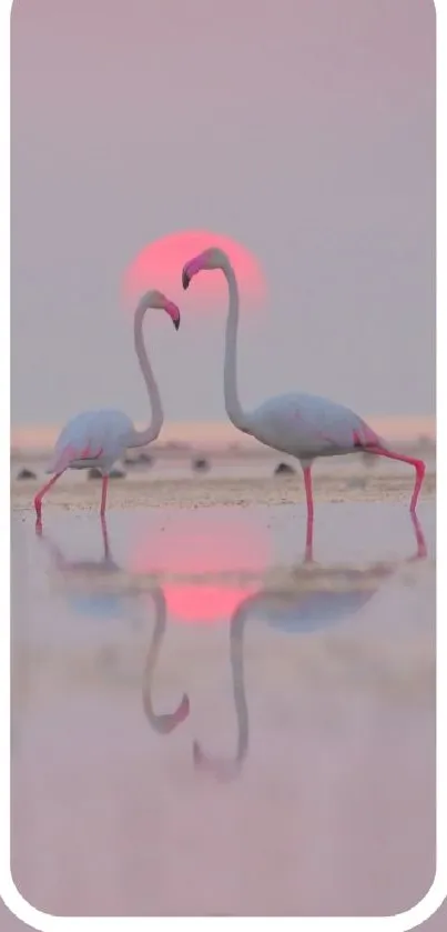 Two flamingos in sunset reflection, surrounded by pink hues.