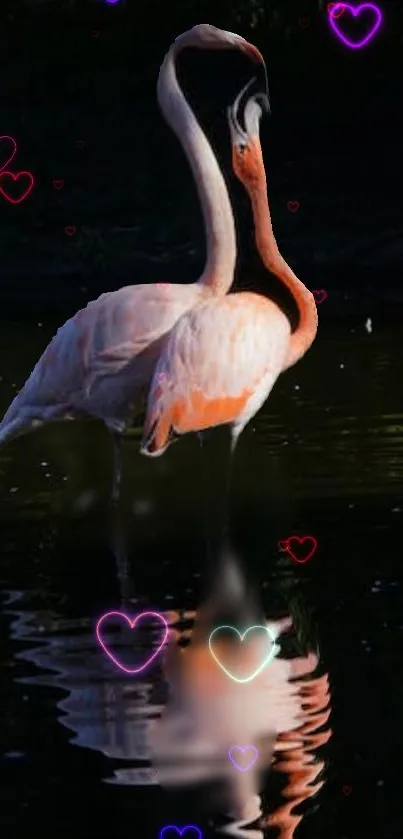 Flamingos in love with neon heart lights on a dark background.