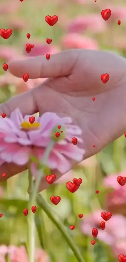 Hand touching pink flower with floating red hearts.