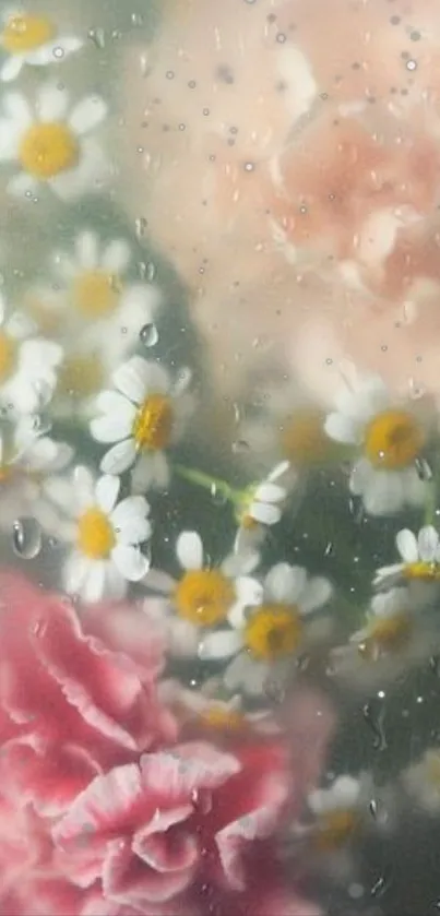 Pink and white flowers with raindrops on a mobile wallpaper.