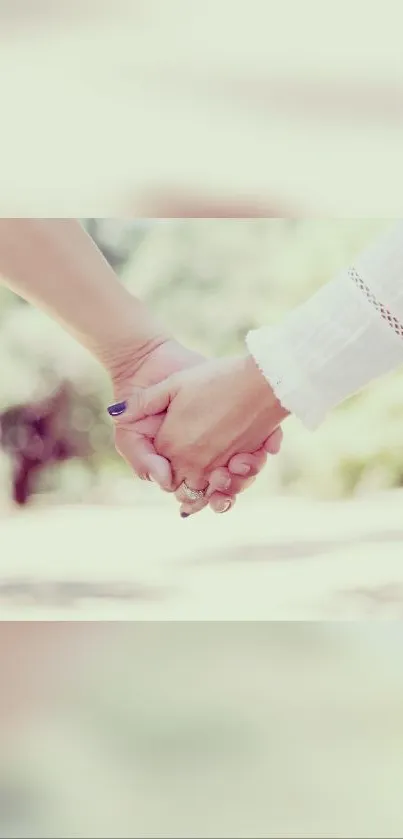 Two hands holding in a romantic nature setting.