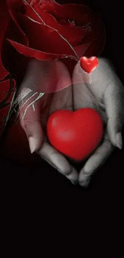 Red heart in hands with a rose on black background wallpaper.