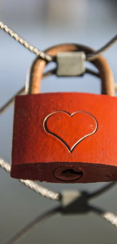 Red heart padlock hanging on metal fence.