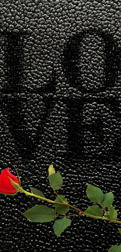 Red rose on textured black background with 'Love' text.