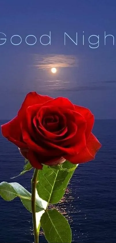 Moonlit night wallpaper with red rose and ocean view.