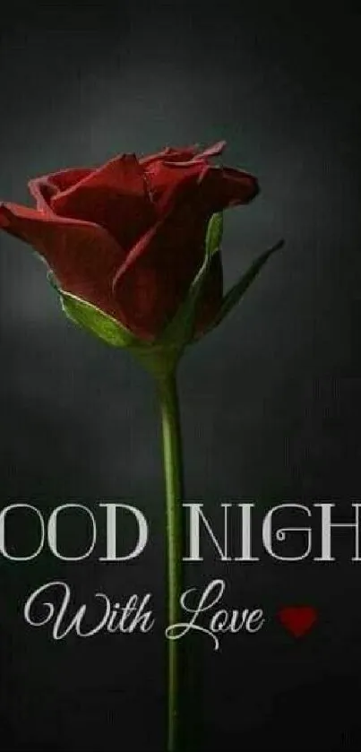 Romantic red rose with 'Good Night' text on dark background.