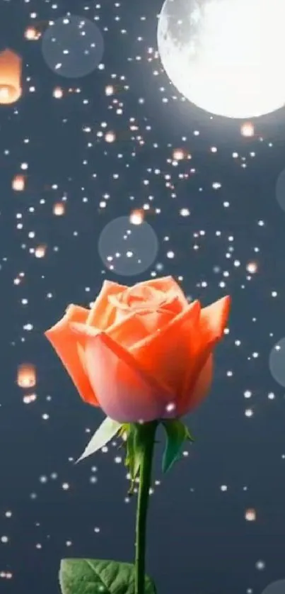 Orange rose under moonlit starry sky with lanterns.