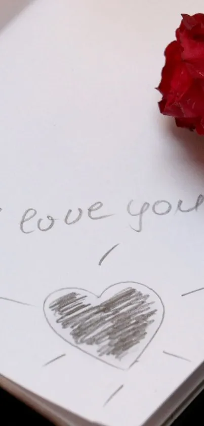 A love note and red rose on paper.