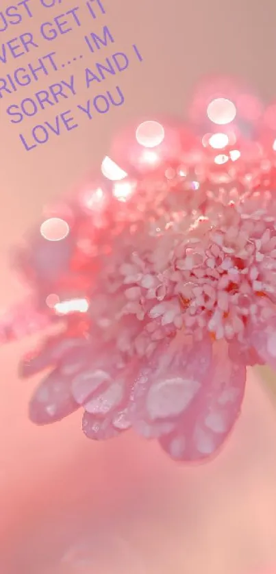 Close-up of a pink flower with dewdrops, conveying a romantic message.