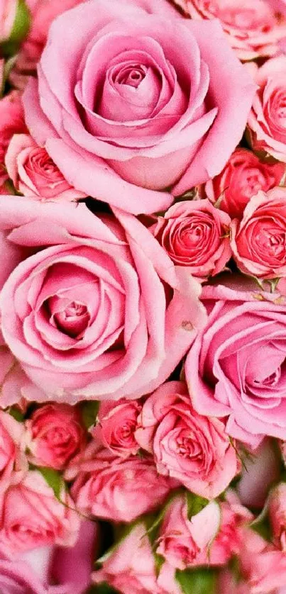 Romantic pink rose bouquet on wooden background.