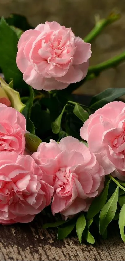 Pink rose bouquet on rustic wooden bench.