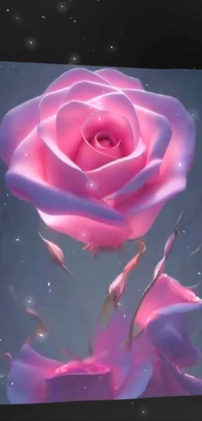 A beautiful pink rose against a soft, glowing background for mobile wallpaper.