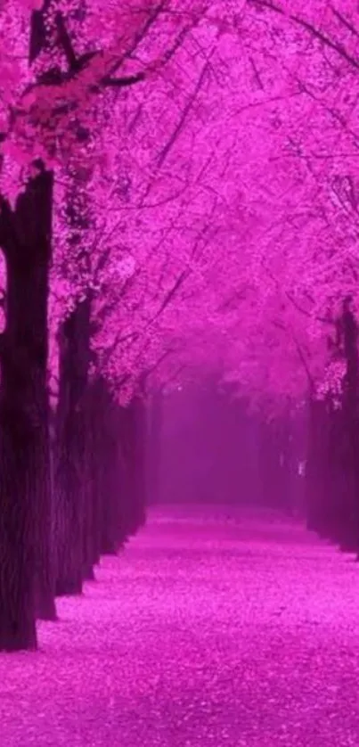 Pink tree-lined pathway with blossoms, serene and romantic.