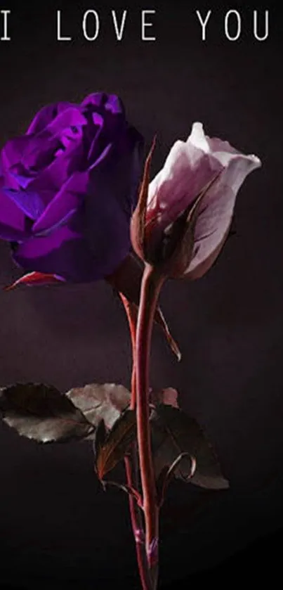 Purple and white roses with love message on dark background wallpaper.