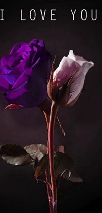 Purple and white roses with 'I Love You' text on a dark background.