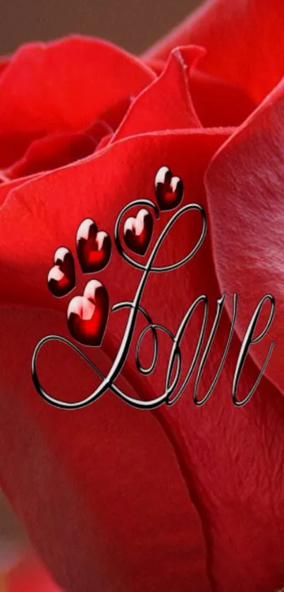 Romantic red rose with love inscription on mobile wallpaper.