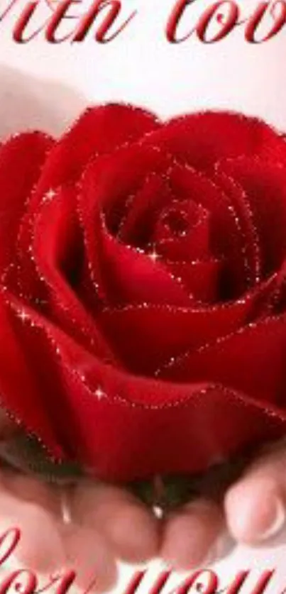 A beautiful red rose in hand, symbolizing love.