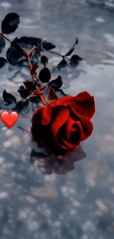 A romantic red rose with a heart on a reflective surface.