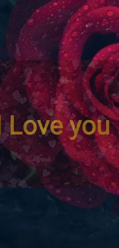 Romantic red rose wallpaper with 'I Love You' message.