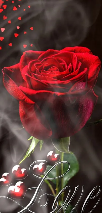 Romantic red rose with love text and hearts.