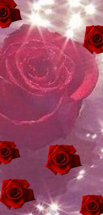 Romantic red rose on shimmering water background.