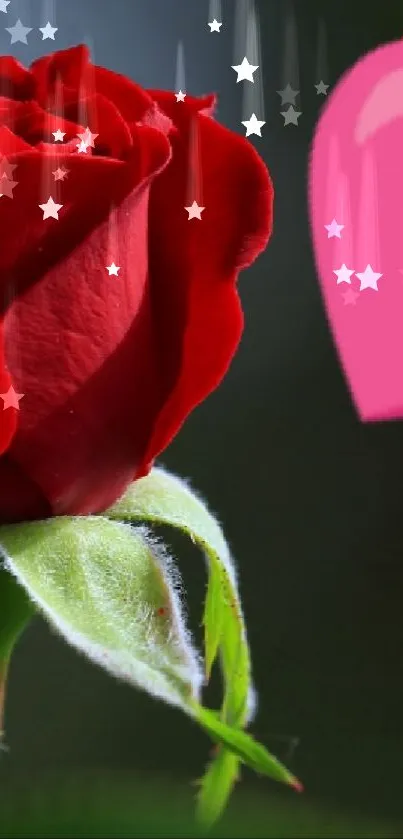 Romantic red rose with pink heart design on green background.