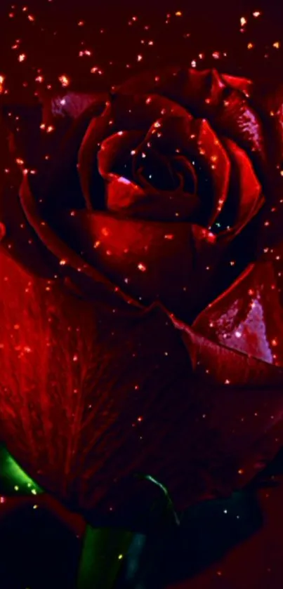 Dark red rose wallpaper with glowing sparkles.